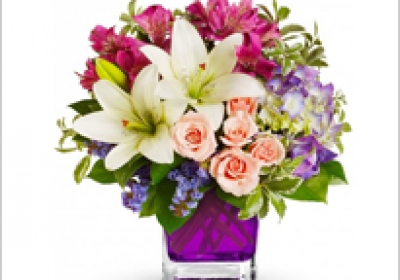 Đặt mua nhanh chóng